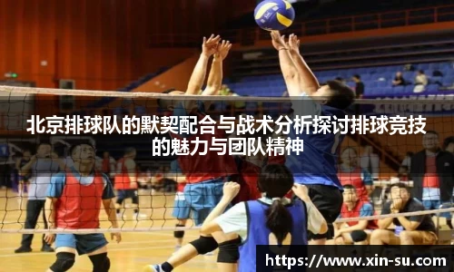 北京排球队的默契配合与战术分析探讨排球竞技的魅力与团队精神
